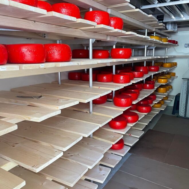 300774873_380888970898606_4748541923697209628_n