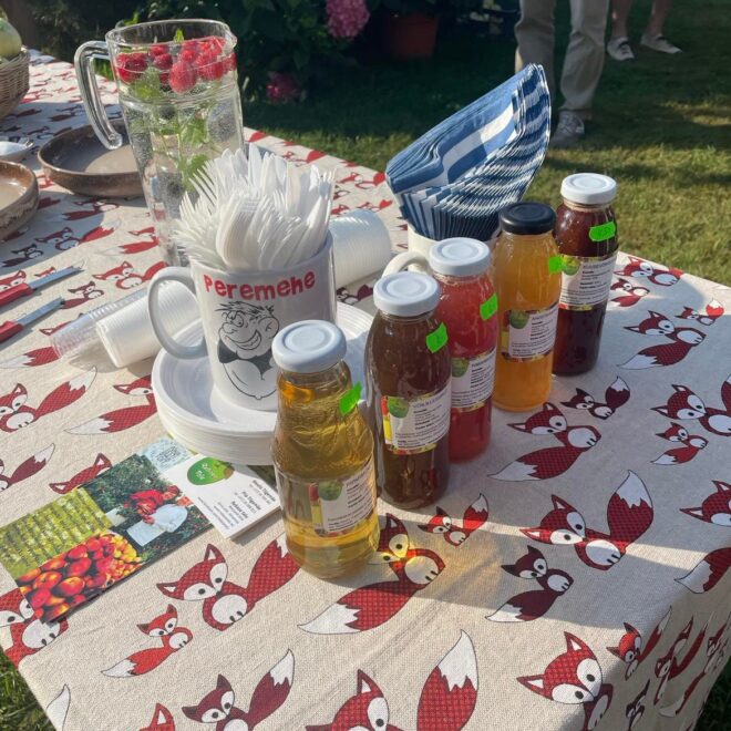 301558077_1258167324952207_7902696419791757912_n