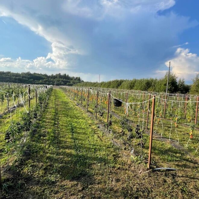 301778037_1073982056571363_8956523318672494536_n