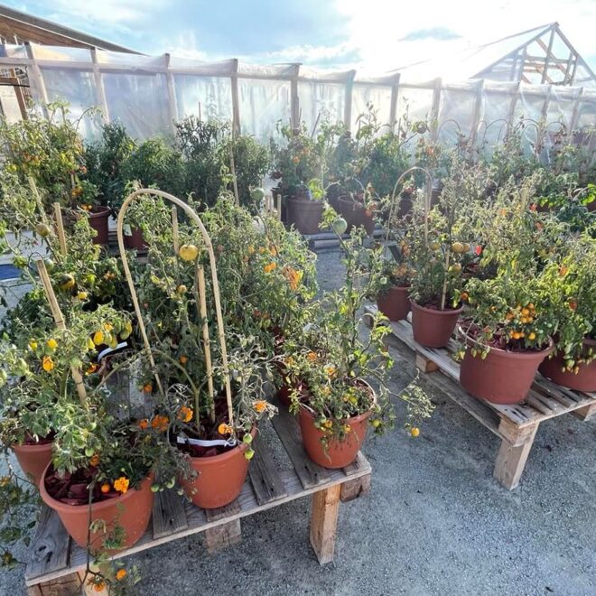 302126267_588138756385524_8467895993582613086_n