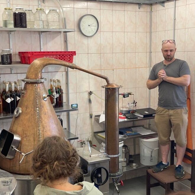 302226829_1152636955598153_7082023855403586915_n