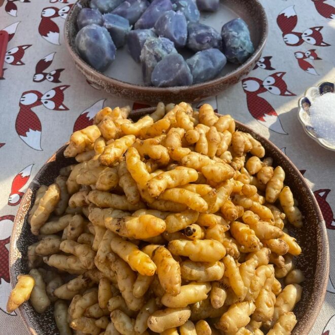 304821351_1342228229966095_2145938446847483707_n