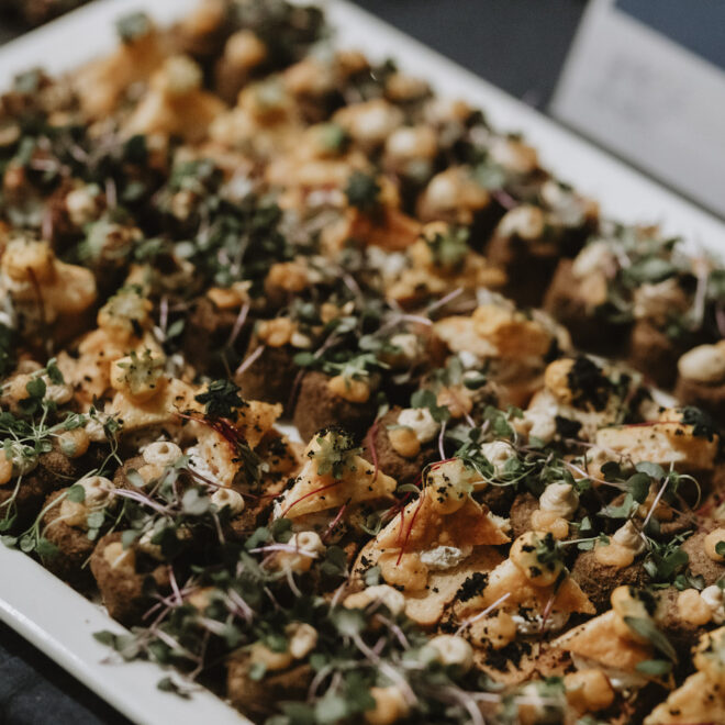 49475163043_6ac94d258b_o-1