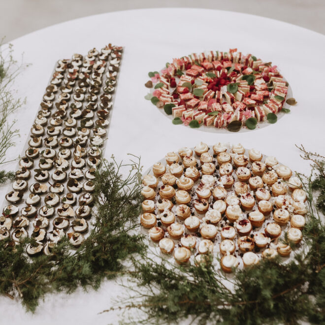 49475163048_0ab953eab1_o